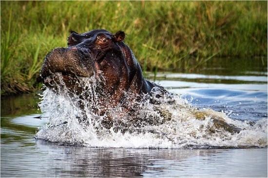 Hakusembe River Lodge